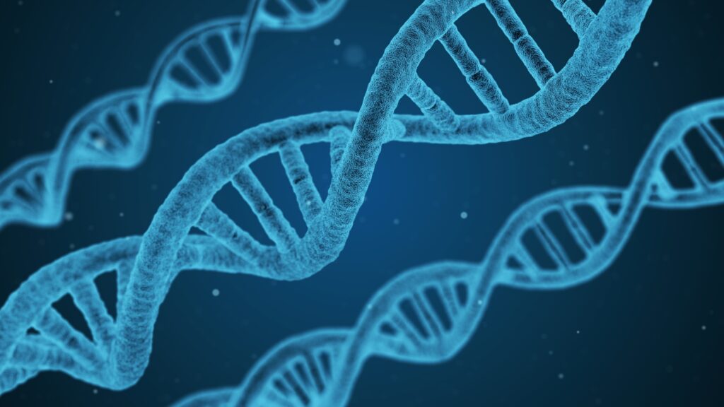 Illustration of DNA double helix strands.